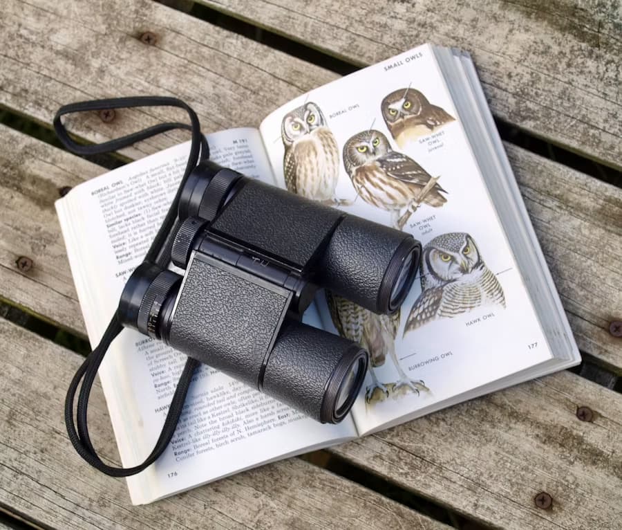 Birdwatching Essentials: What to Pack for a Successful Outing